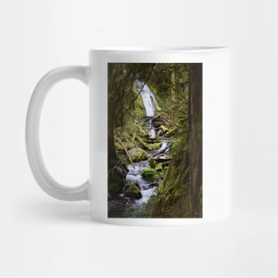 Woodsy Waterfall in the Hoh Rainforest Mug